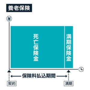 養老保険のしくみ図