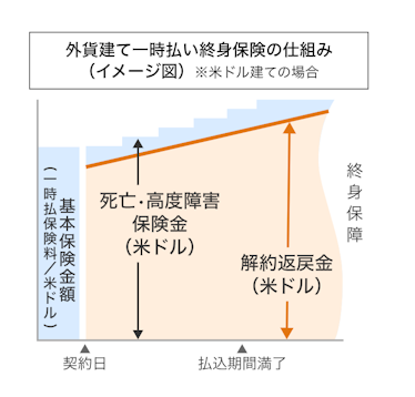 外貨建て一時払い終身保険の仕組み(イメージ図)