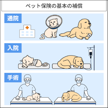 ペット保険の基本の補償