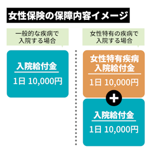 女性保険の保障内容