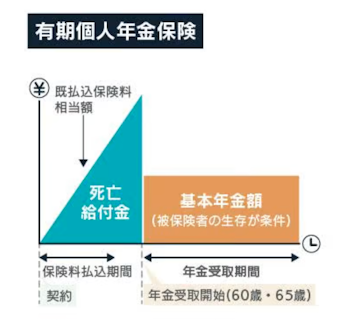 有期個人年金保険