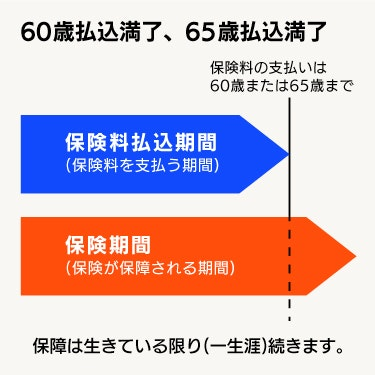 払込満了年齢と保険期間の仕組み