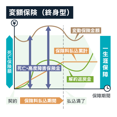 変額保険（終身型）
