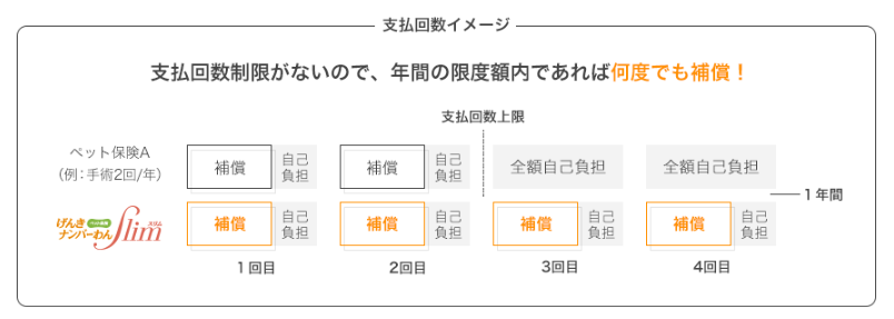 ペット&ファミリー損保 支払回数イメージ