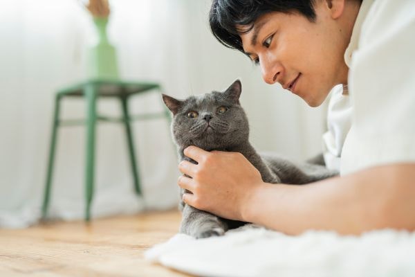 ペット保険を解約する前に!注意すべきポイント