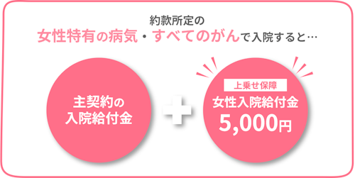 女性医療保険の仕組み