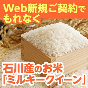 SBIいきいき少短の保険にWeb新規ご契約で石川産のお米「ミルキークイーン」がもれなくもらえる!