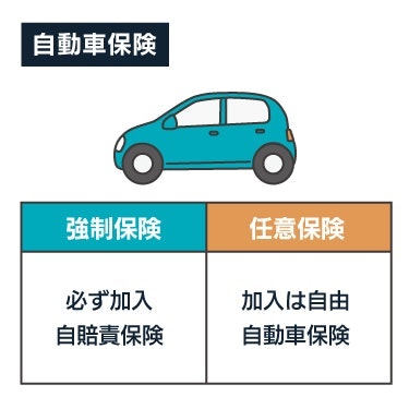 自動車保険の強制保険と任意保険