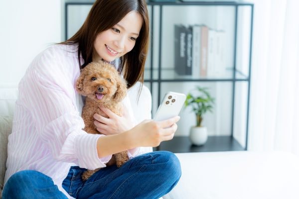 人気が高いおすすめのペット保険を紹介