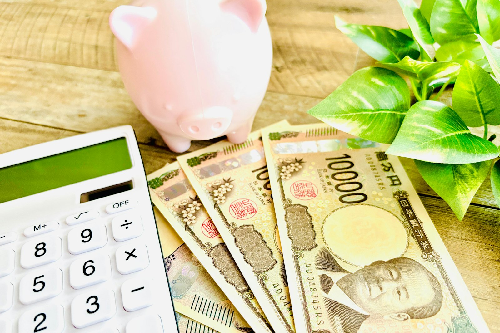 円建て保険が向いている人・向いていない人とは？