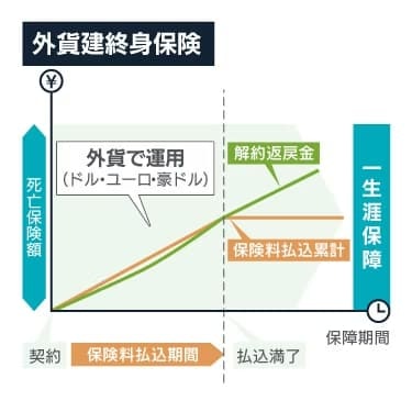 外貨建終身保険のしくみ図