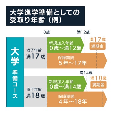 大学進学準備としての受取り年齢（例）