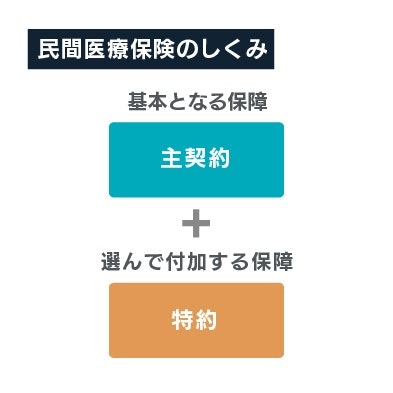 民間医療保険の仕組み