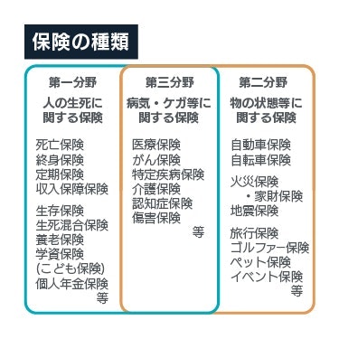生命保険、損害保険、第三分野保険