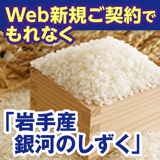 SBIいきいき少短の保険にWeb新規ご契約で岩手産のお米「銀河のしずく」がもれなくもらえる！