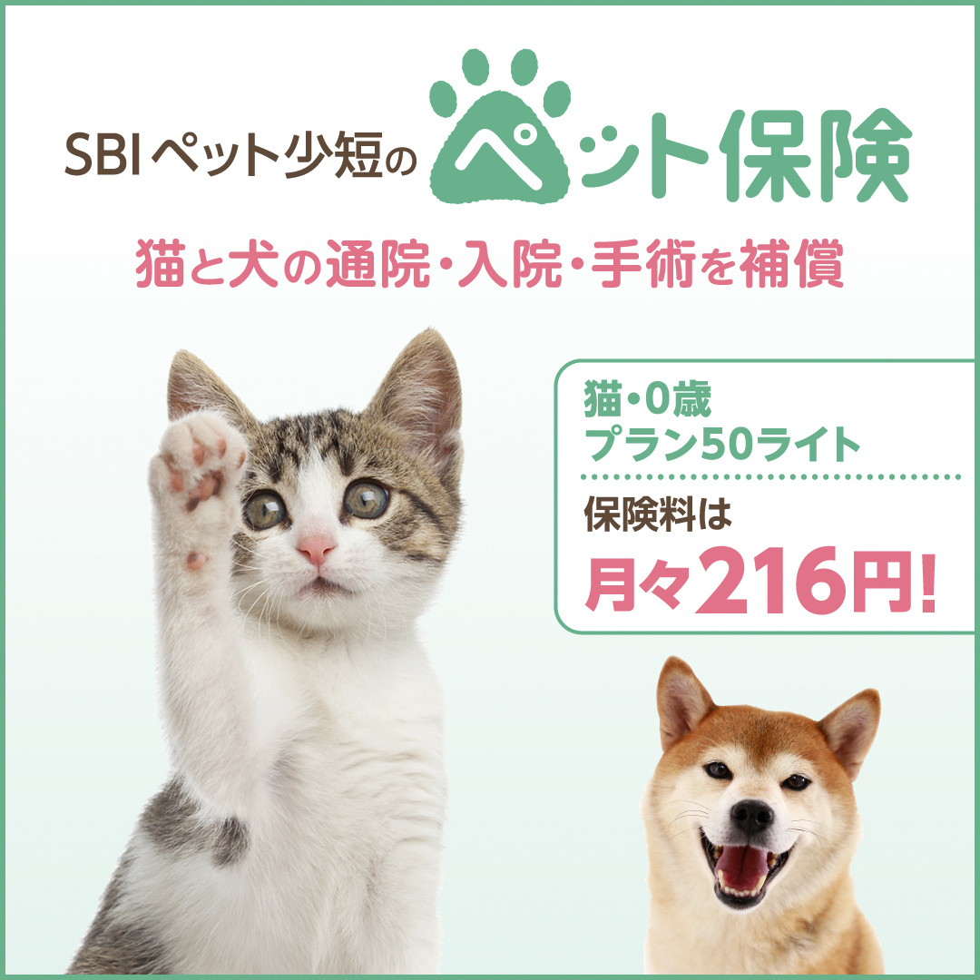 人気のペット保険はどれ？失敗しない選び方とおすすめ商品を紹介