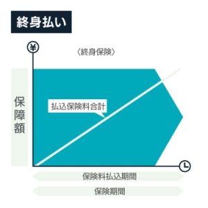 終身払いの終身保険