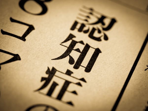 認知症など要介護状態の親の介護をしないとどうなる？必要な介護費用や使える公的サービスなど介護への備え方を調査