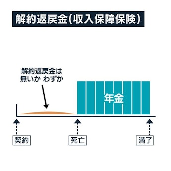 解約返戻金（収入保障保険）