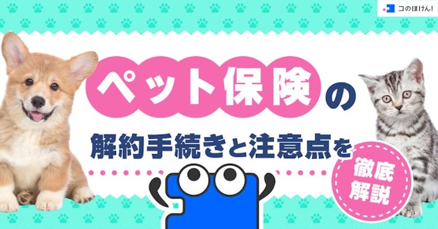 ペット保険の解約手続きと注意点を徹底解説