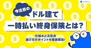 今注目のドル建て一時払い終身保険とは？仕組みと注意点、選び方のポイントを徹底解説！