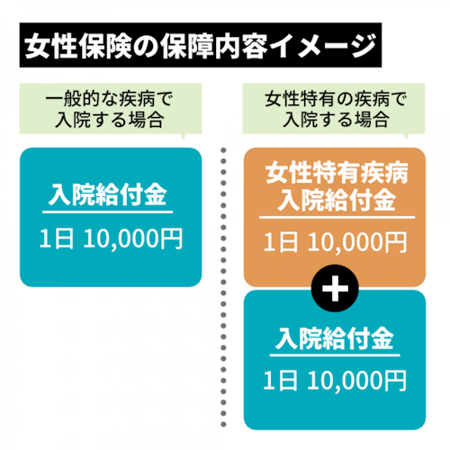 女性医療保険の保障内容イメージ
