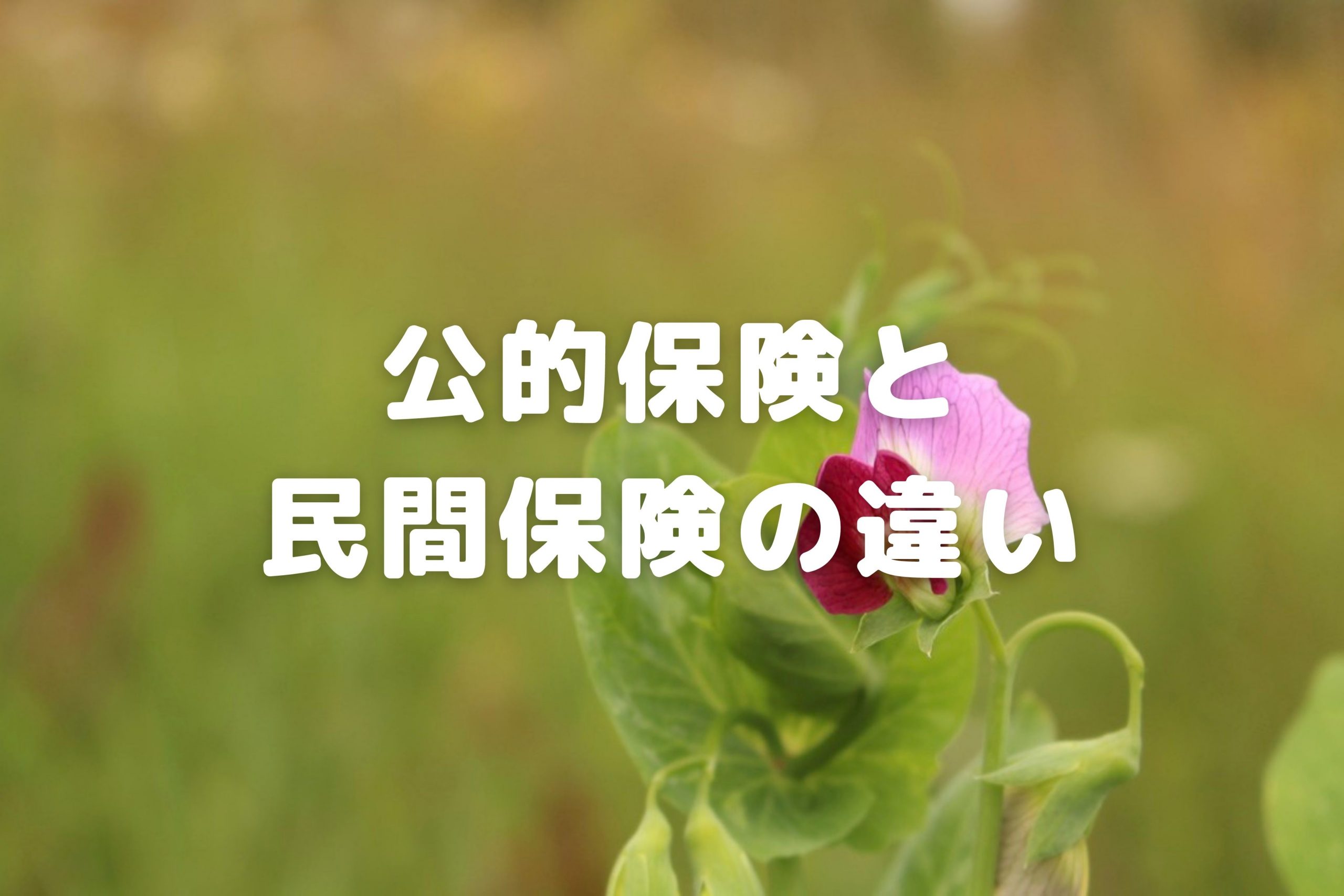 社会保険制度などの公的保険と民間保険の違いを知り「万が一」に備えよう