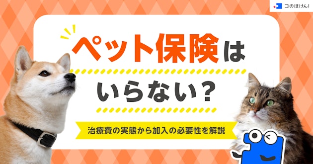 ペット保険はいらない？治療費の実態から加入の必要性を解説