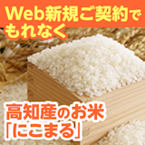 SBIいきいき少短の保険にWeb新規ご契約で高知産のお米「にこまる」がもれなくもらえる！