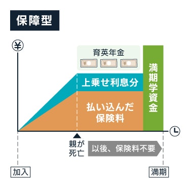 保障型