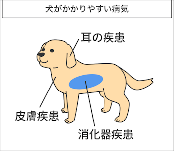 犬がかかりやすい病気