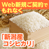 SBIいきいき少短の保険にWeb新規ご契約で新潟産のお米「コシヒカリ」がもれなくもらえる！