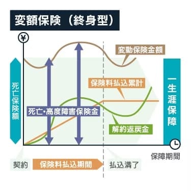 変額保険（終身型）のしくみ図