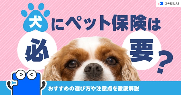 犬にペット保険は必要？おすすめの選び方や注意点を徹底解説