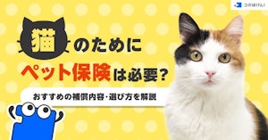 猫のためにペット保険は必要？おすすめの補償内容・選び方を解説 