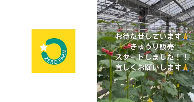 農家がDM販売とイベント集客を実現。DM経由で16件の野菜販売を達成し、収穫体験イベントも即満席に