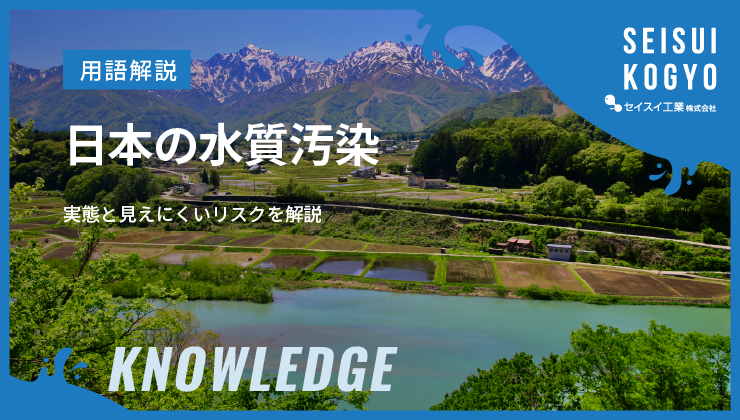 日本の水質汚染