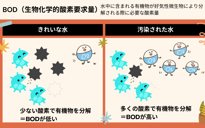 BOD　生物的酸素要求量