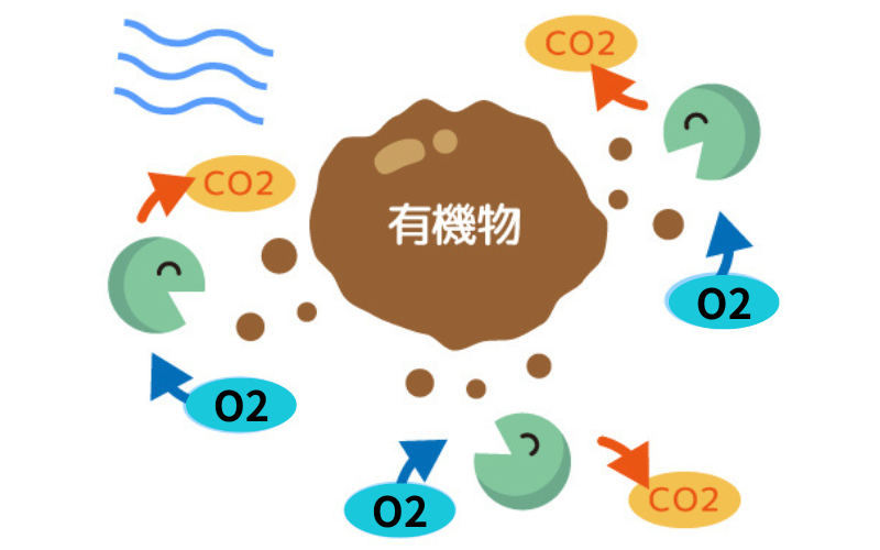 有機物　分解