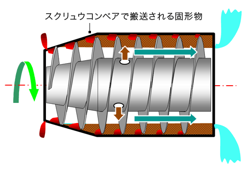 プラカイバードミニ 黄色いアヒル ノンラトル | 東京のスケート