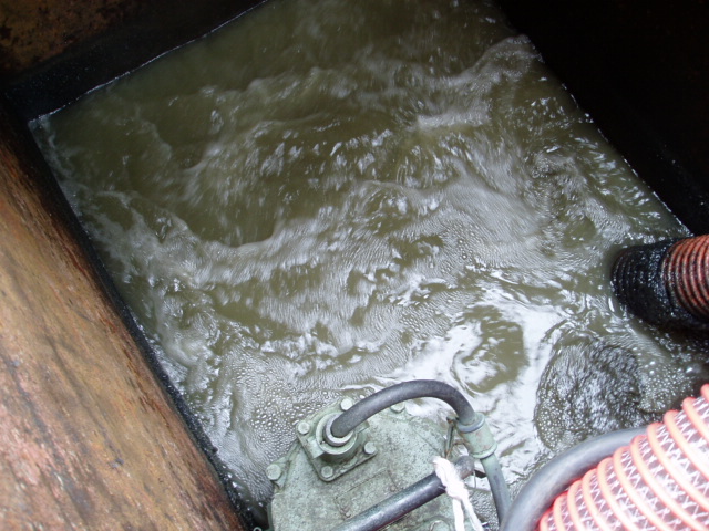 処理水（分離された水）の写真