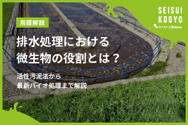 排水処理における微生物の役割とは？活性汚泥法から最新バイオ処理まで解説