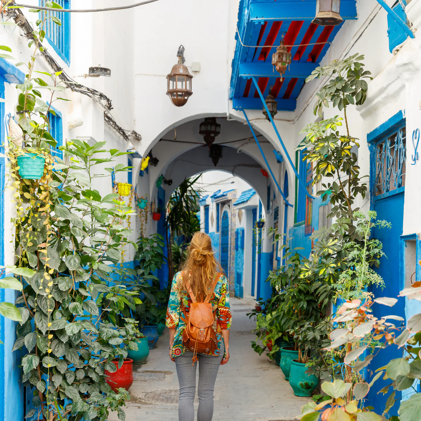24-day voyage from Europe to South America on MSC Fantasia