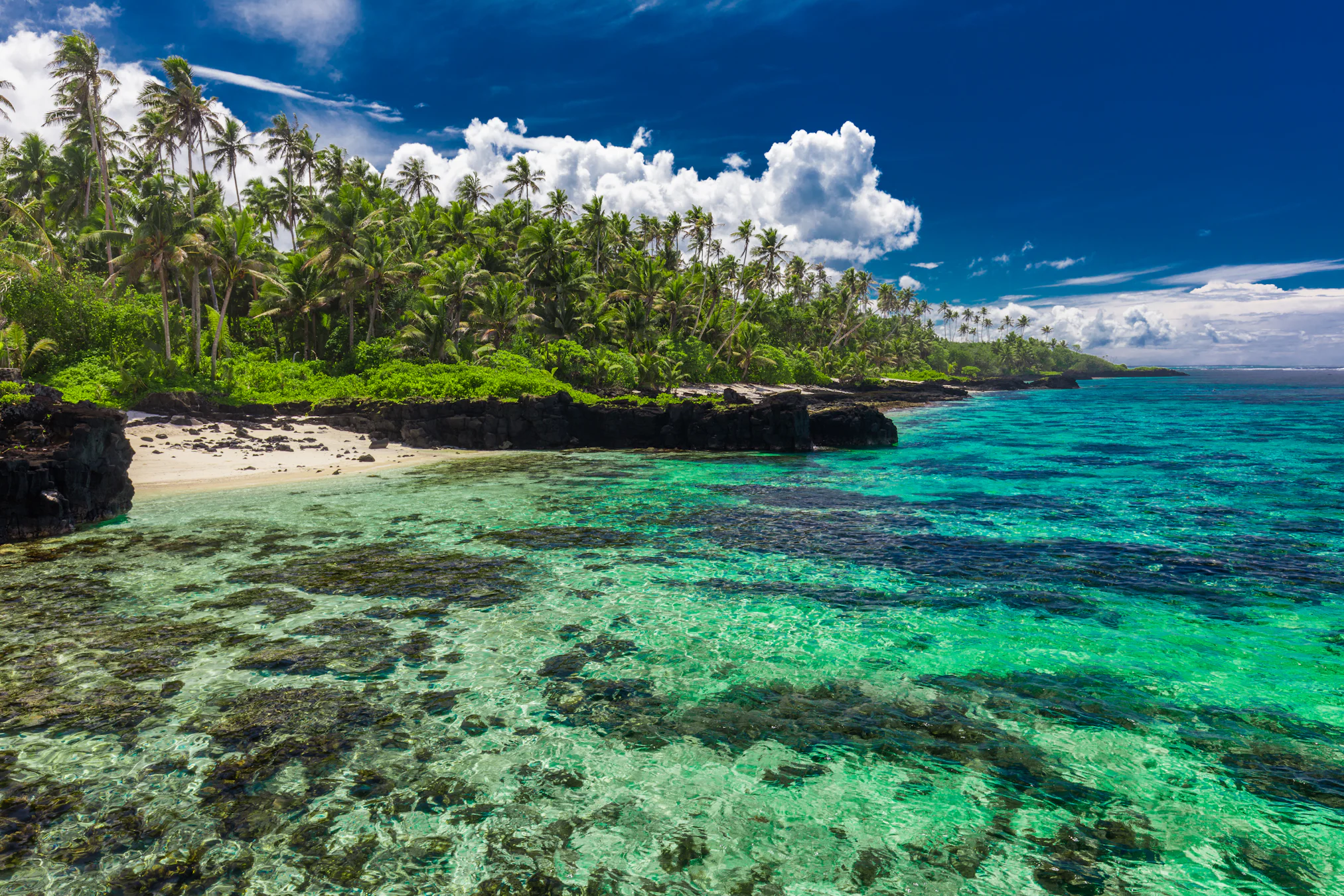 133-day cruise around the world on MSC Magnifica