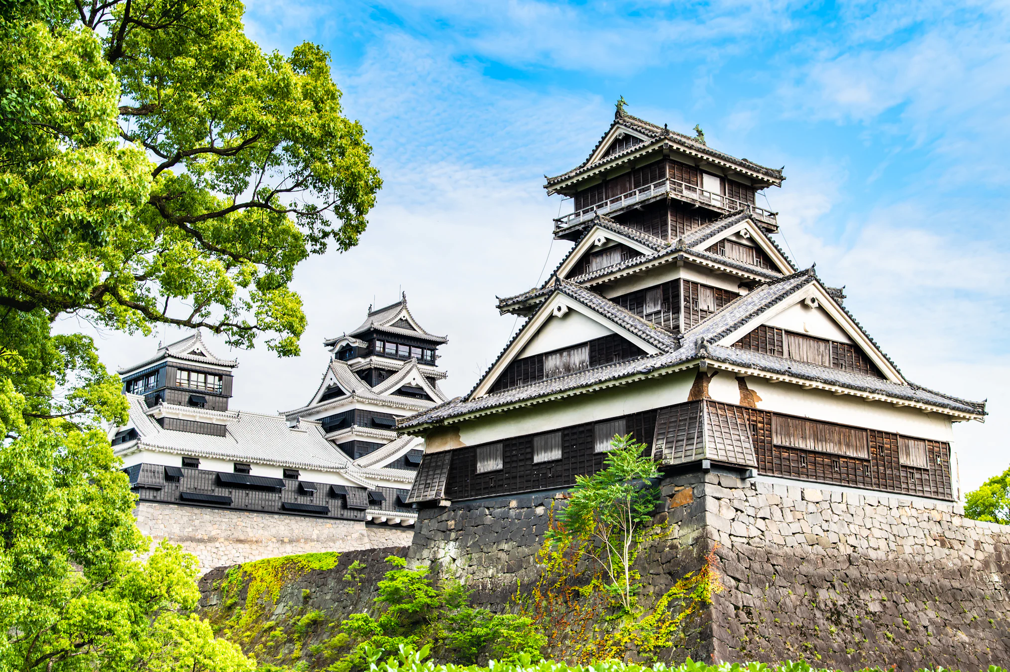 7-day cruise around Japan and Korea on MSC Bellissima