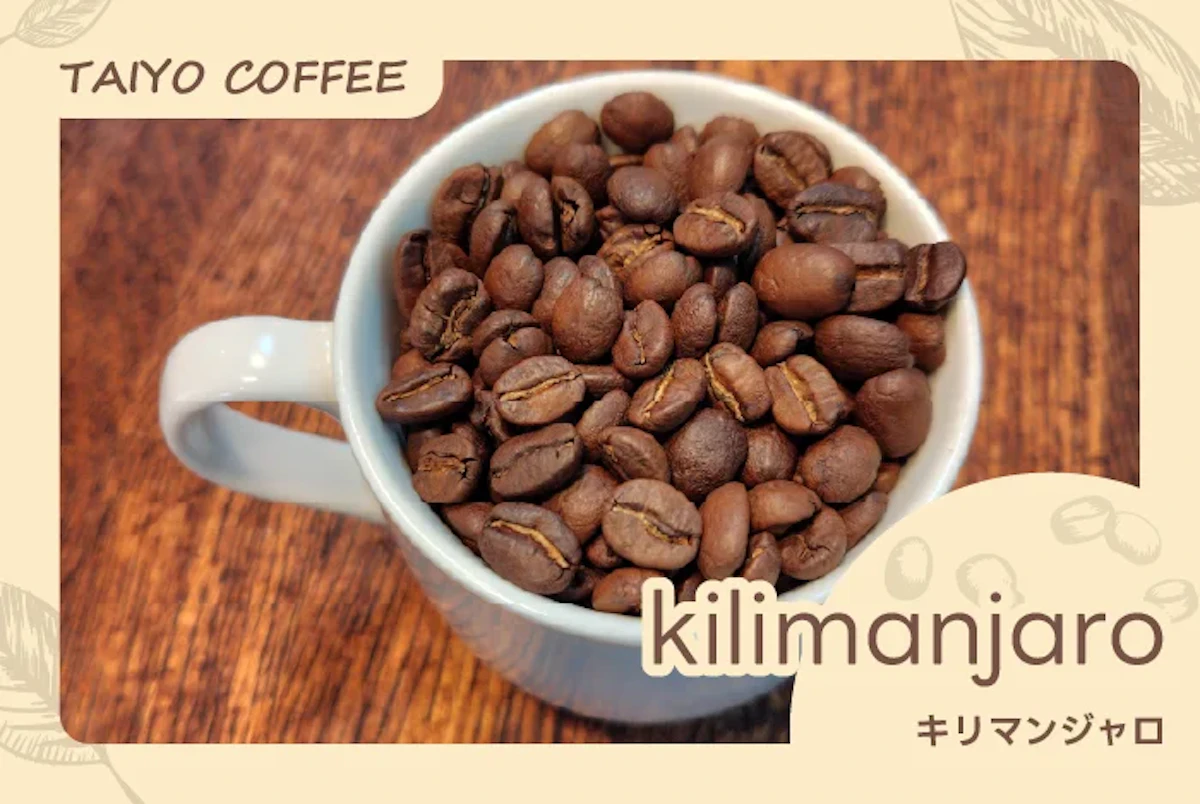 キリマンジャロ　500ｇ