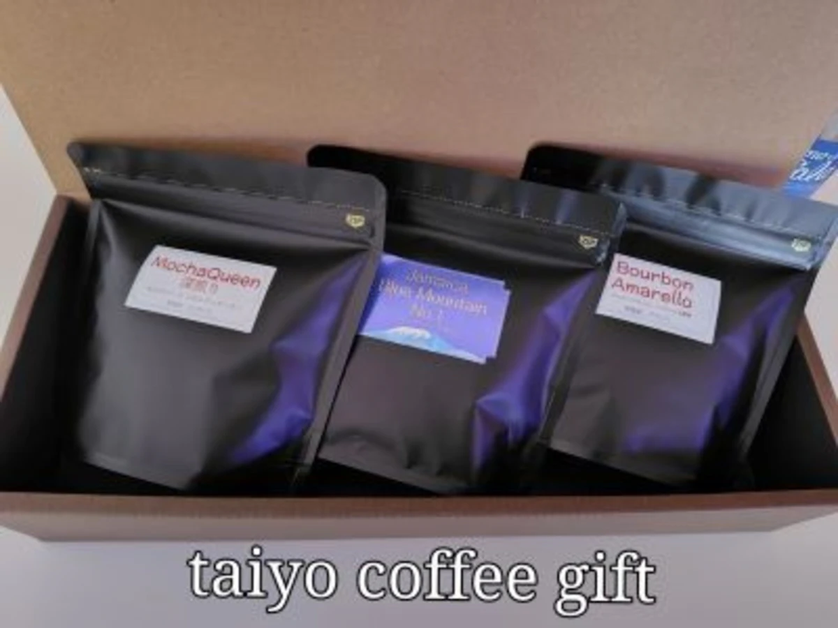 ギフト　コーヒー100ｇ入り3個　Eセット