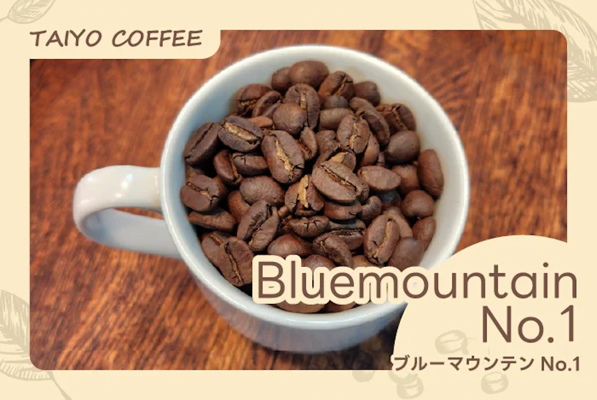 ブルーマウンテンNo,1  100g