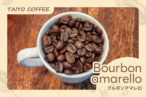 ブルボンアマレロ　500ｇ