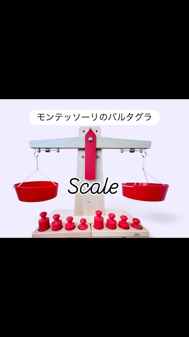 メタルインセッツ(値下げしました！)｜バルタグラ公式オンラインショップ